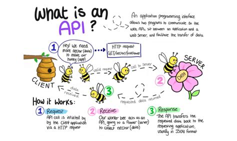 The API .